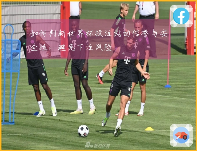 如何判断世界杯投注站的信誉与安全性，避免下注风险