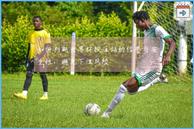 如何判断世界杯投注站的信誉与安全性，避免下注风险