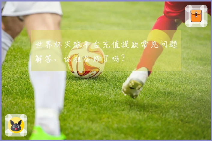 世界杯买球平台充值提款常见问题解答，你准备好了吗？